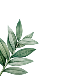 botanical-themed-design-space